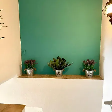 Anesi To Rent Ancient Olympia