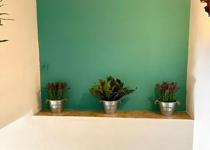 Anesi To Rent Olympie