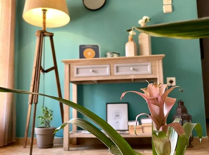 Anesi To Rent * Olympie